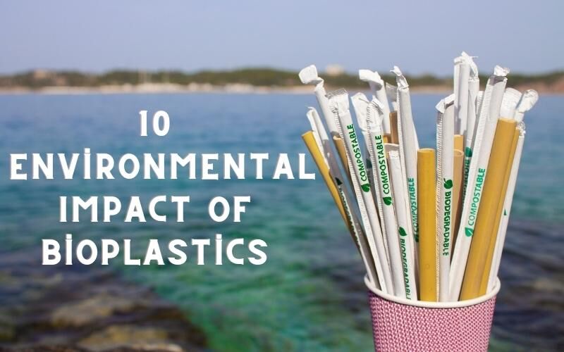 The Rise of Bioplastics: A Greener Future for Packaging
